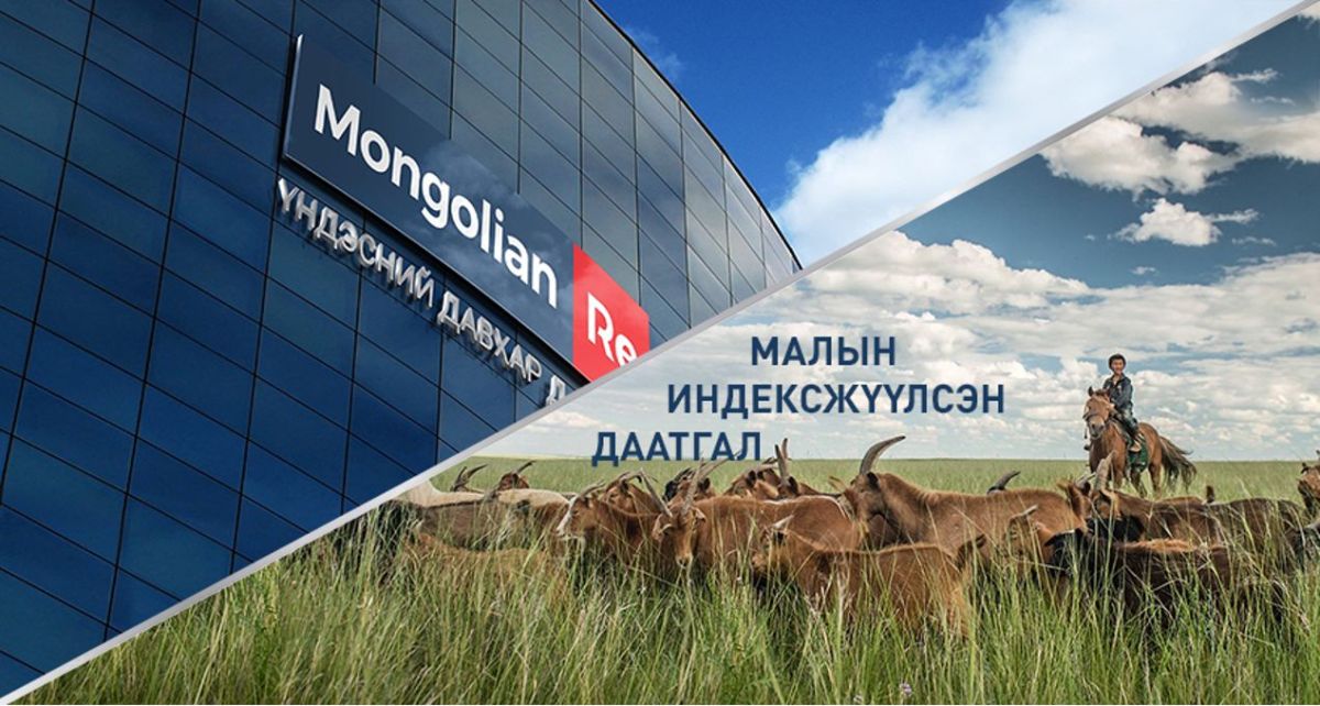 “Малын индексжүүлсэн даатгал“-ын нэгдүгээр босго үзүүлэлтийг таван хувь болгож буурууллаа